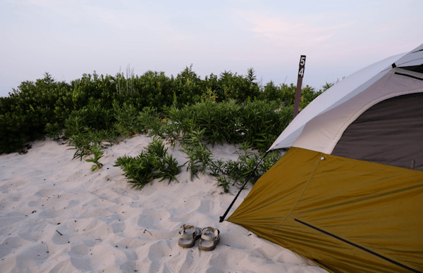  orange and brown tent on the beach with sandles and low growing beach bushes in the background