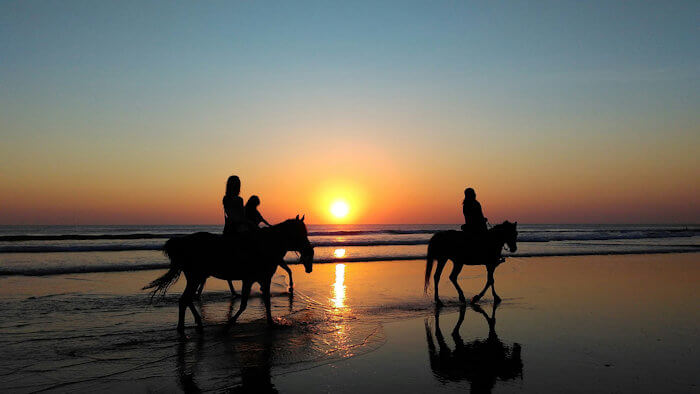Coastal Horseback Riding